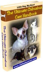 Chihuahuacare.com coupon codes